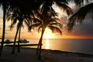 strand, palmbomen, paradijs, zand, zee, kust, zonsondergang, tropisch