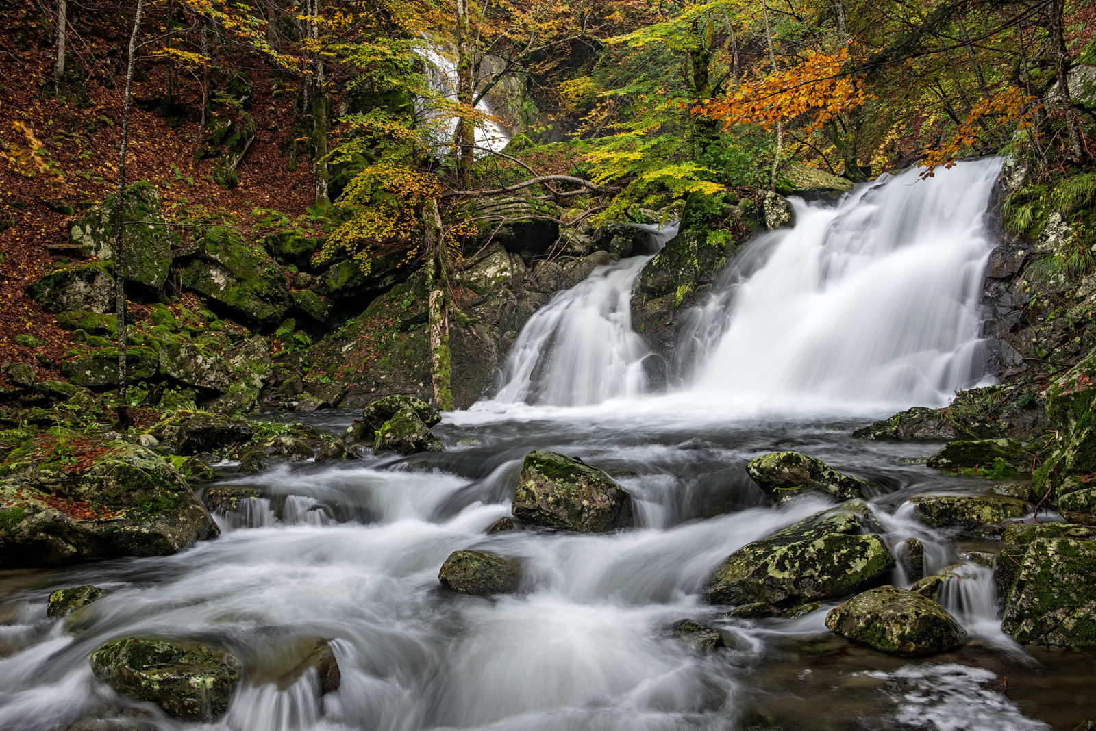 herfst, Woud, rivier-, stenen, waterval, Italië, Emilia-Romagna, cascade