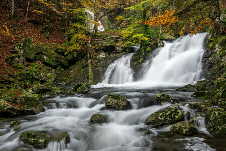 otoño, cascada, Emilia-Romagna, bosque, Italia, Río Parma, río, piedras