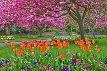 flowerbed, flowers, Garden, Park, plants, trees