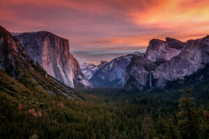 CA, clouds, forest, mountains, sunset, the evening, the sky, trees