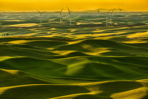 veld-, gras, heuvels, Italië, Toscane, WINDMOLEN