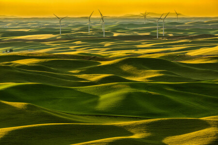 field, grass, hills, Italy, Tuscany, WINDMILL