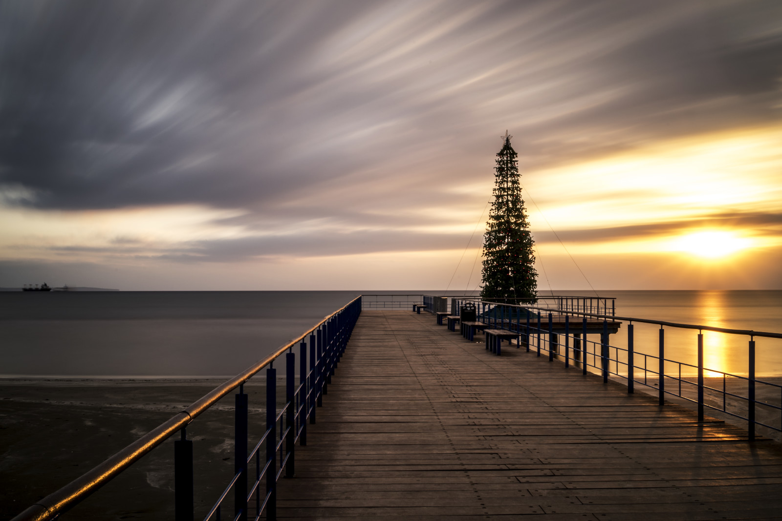 Baum, Meer, Brücke