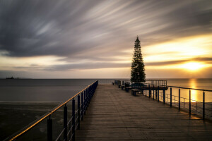 Bridge, sea, tree