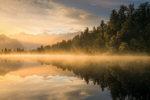 fog, morning, river