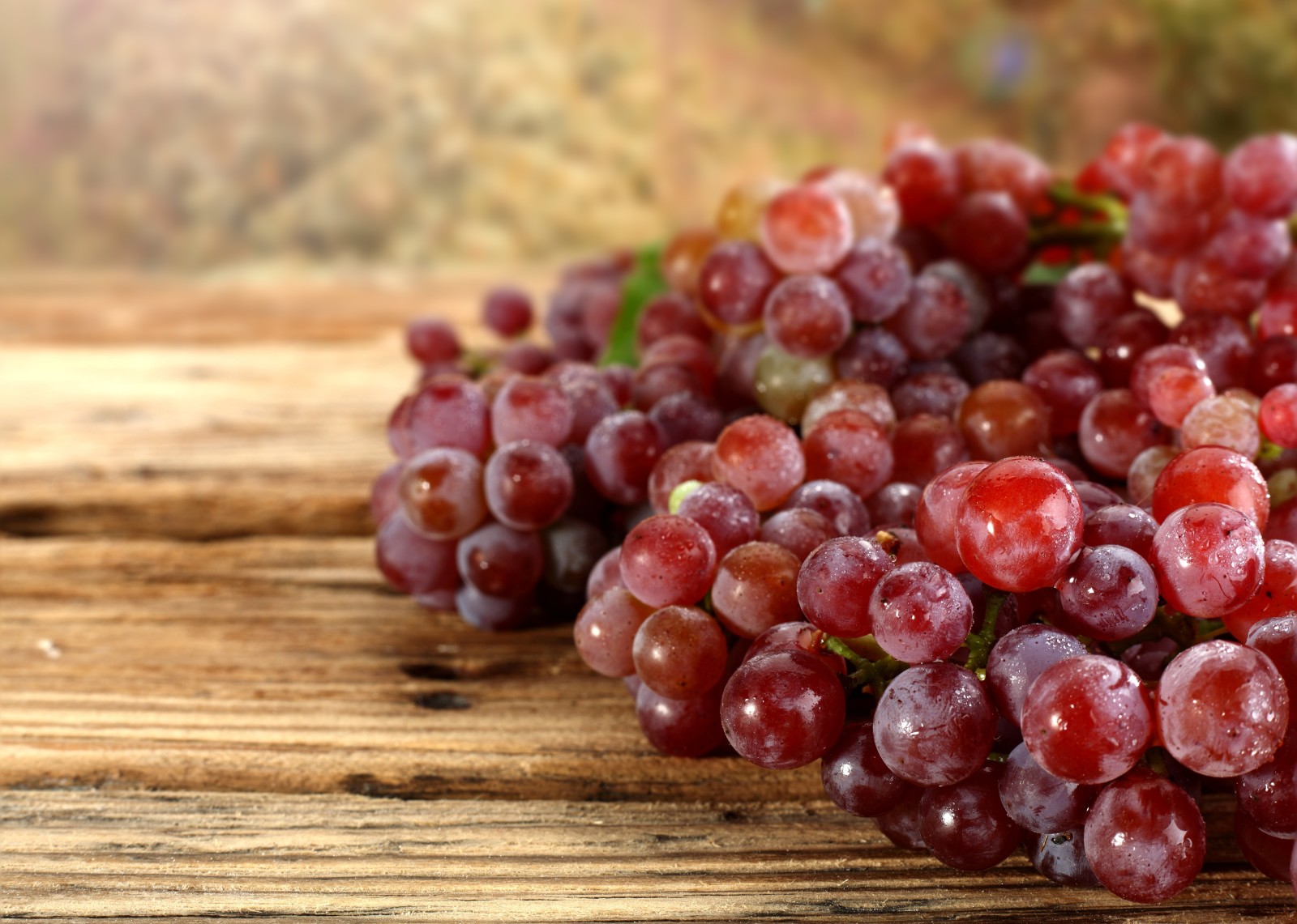 autunno, frutti di bosco, gocce, raccogliere, uva, mazzo