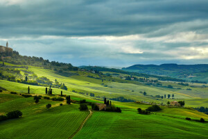 Mark, greens, huse, Italien, enge, træer, Toscana