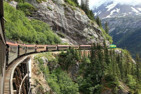 Alasca, floresta, Montanha, skagway, ferrovia de passagem branca