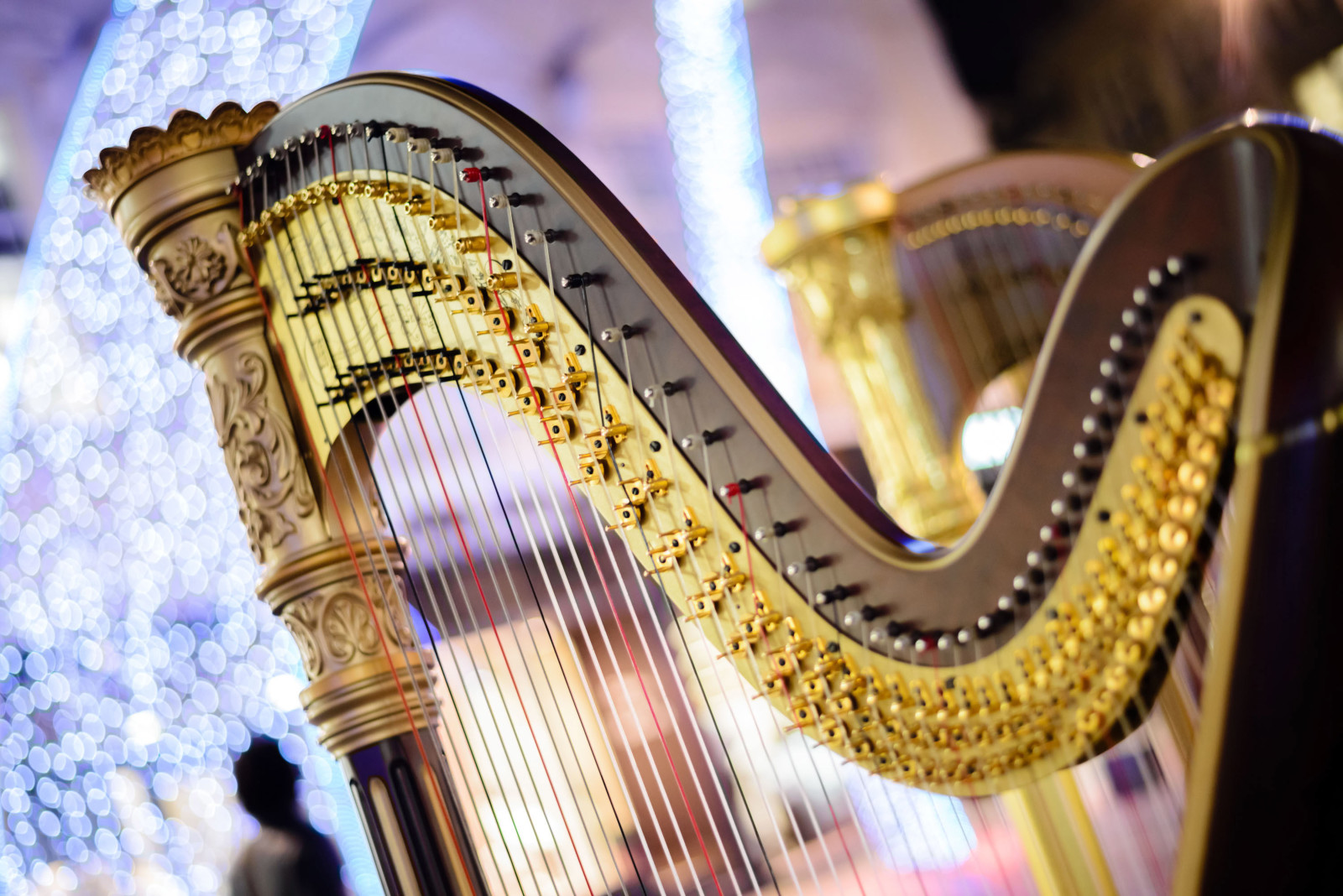 bokeh, blur, Music, Musical, Tool, sound, harp, strings