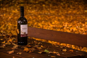 otoño, banco, vino