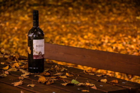 autumn, bench, wine