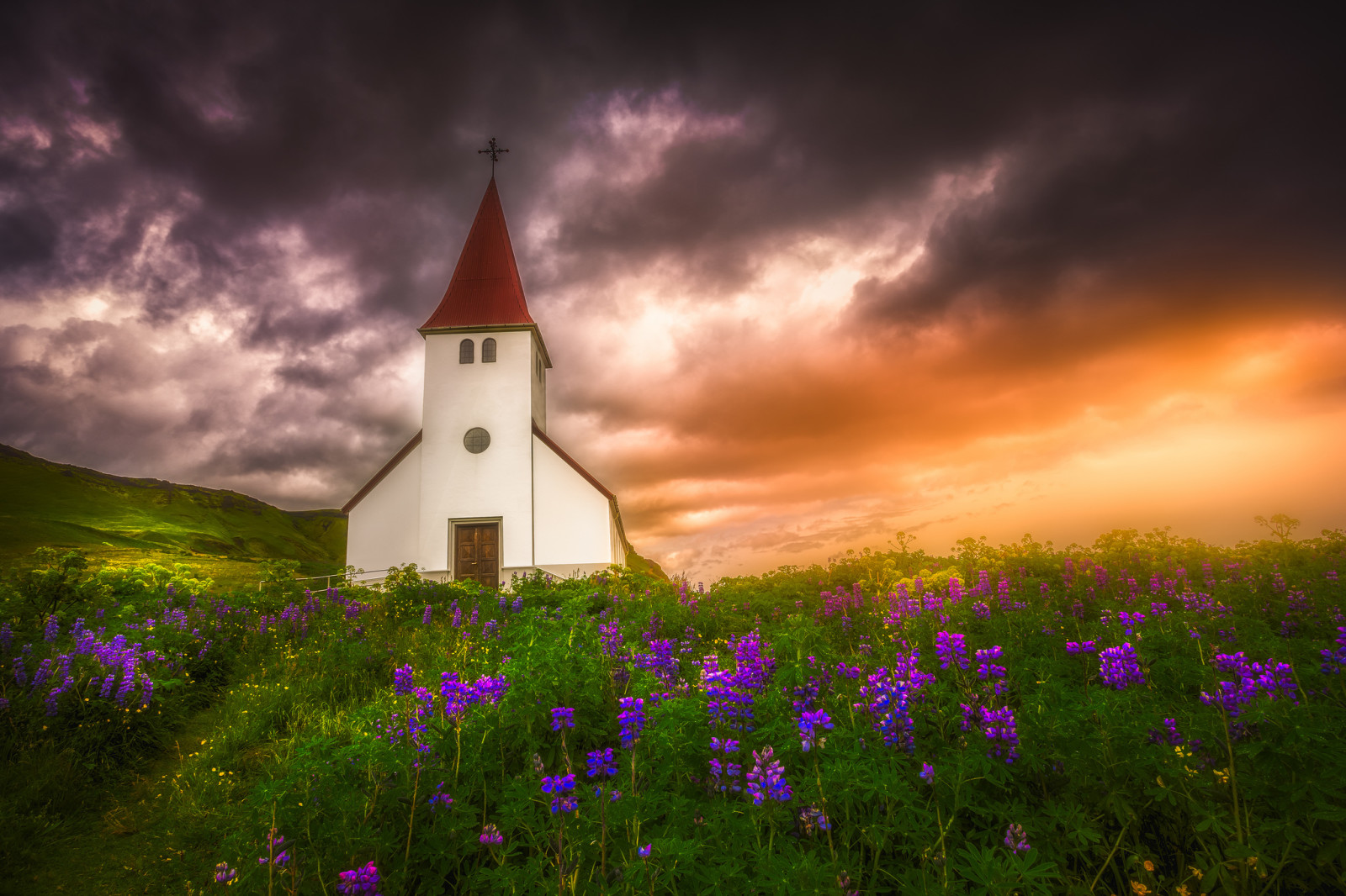 sunset, flowers, meadow, Church, Iceland, lupins, Vik in Myrdal, Vic