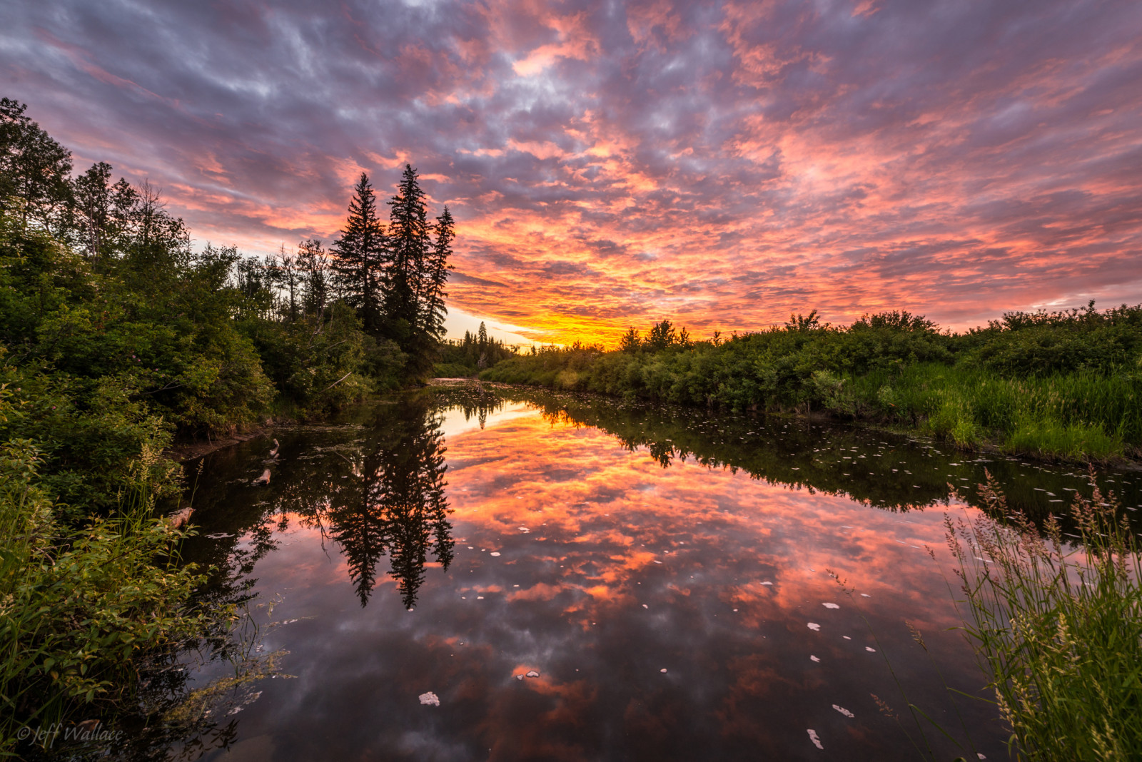 solnedgang, refleksjon, Jeff Wallace