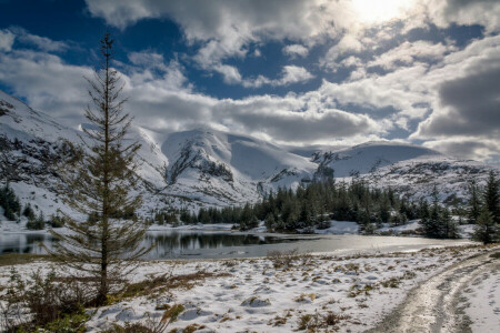 skog, bergen, natur, flod, snö, himmelen, träd, vinter-