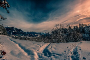 naturaleza, nieve, invierno