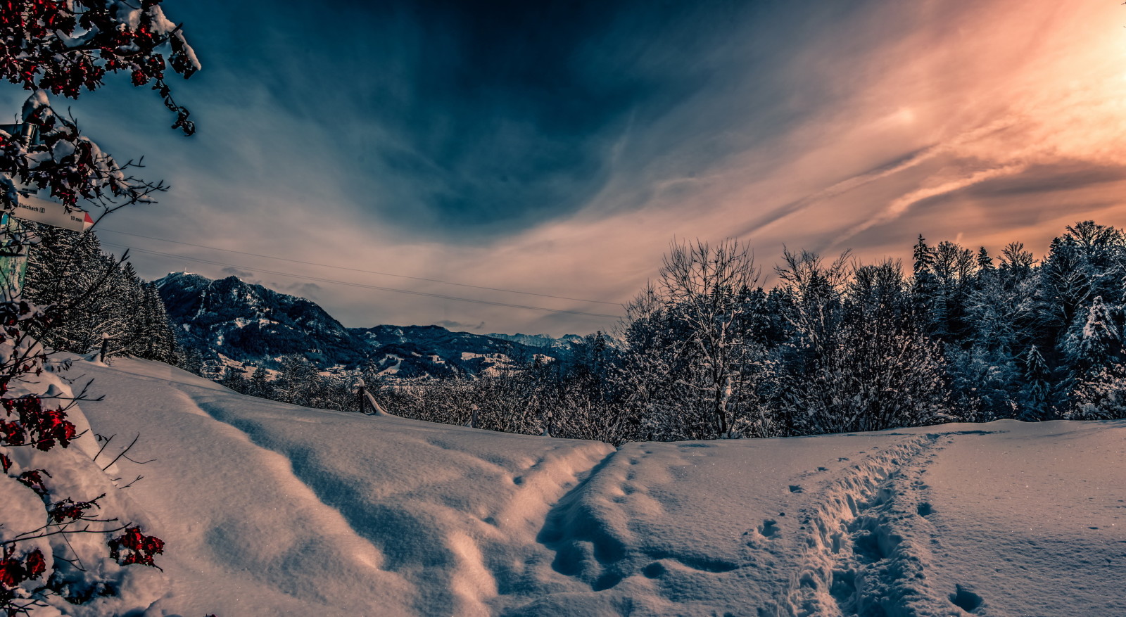 sneeuw, natuur, winter