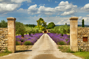 skyer, Frankrig, Have, Port, lavendel, Provence, vej, hegnet