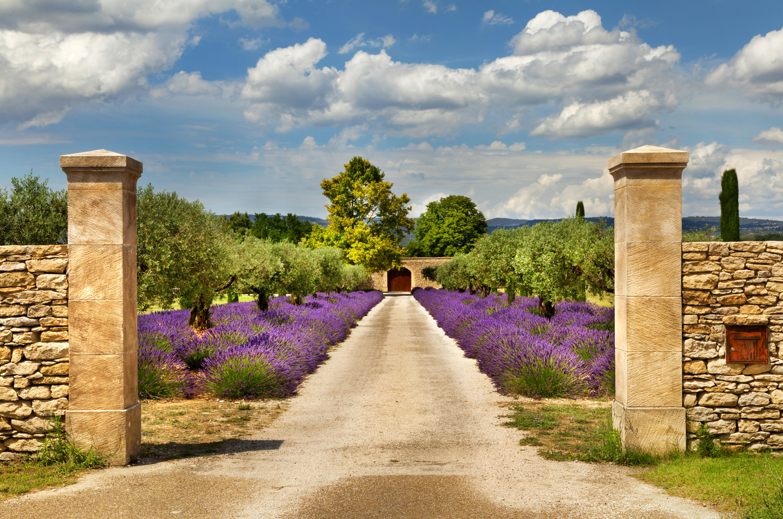 the sky, road, trees, lavender, France, clouds, gate, Garden