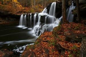 outono, Brush Creek Falls, cascata, floresta, folhas, rio, cascata