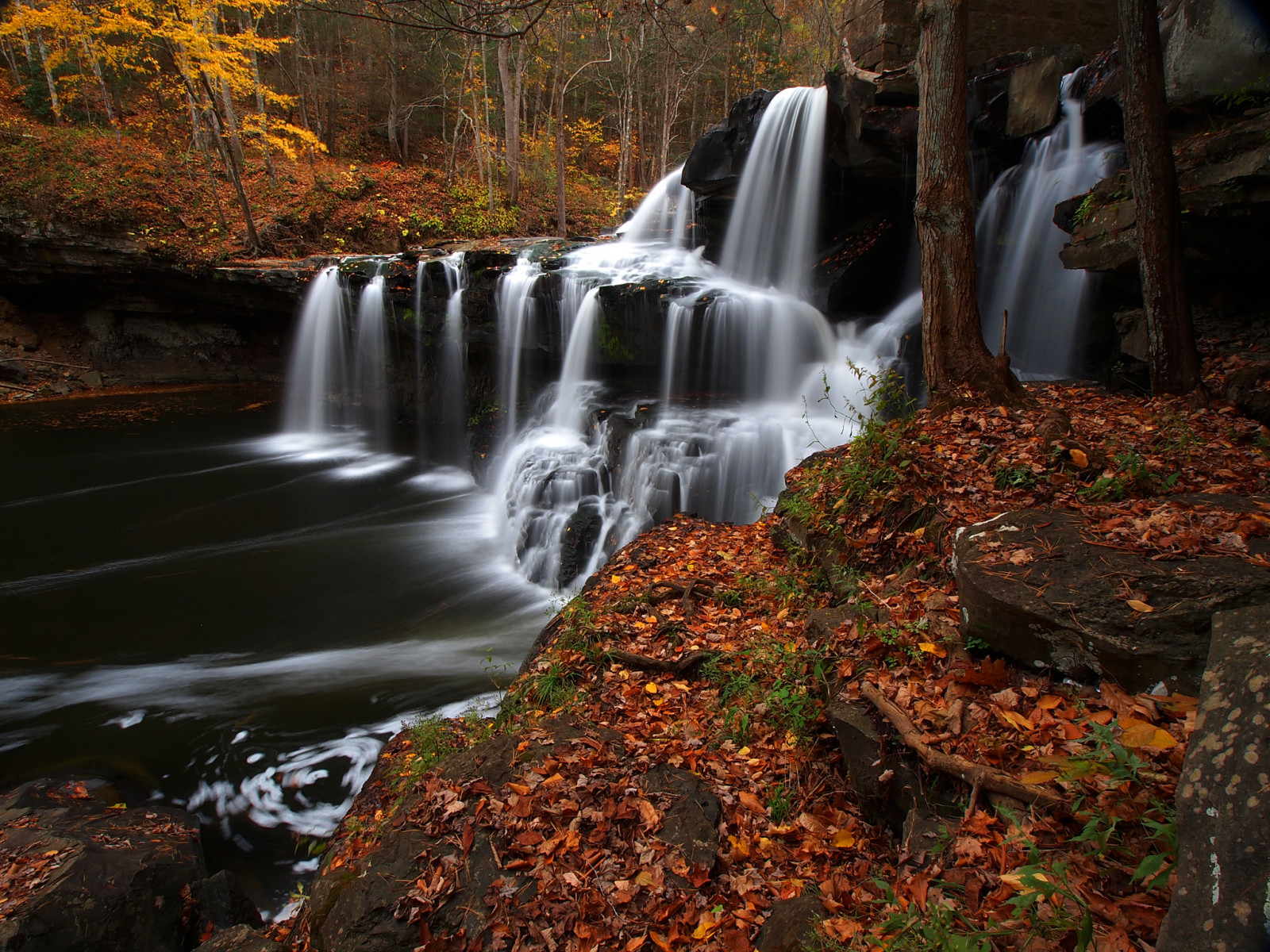 herfst, Woud, rivier-, waterval, bladeren, cascade, Brush Creek Falls