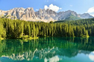 bosque, lago, montañas, naturaleza, reflexión