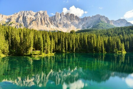 foresta, lago, montagne, natura, riflessione