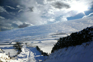 nieve, invierno, Sol de invierno