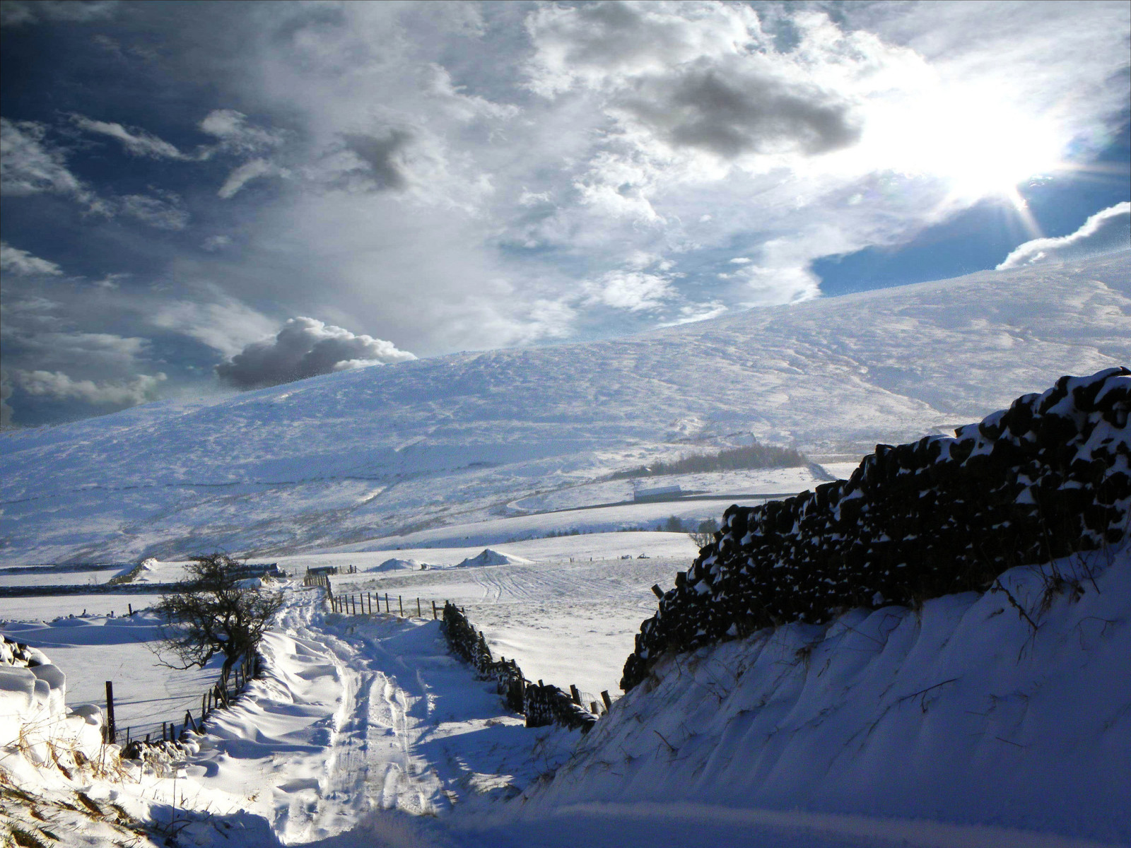 snø, vinter, vintersol