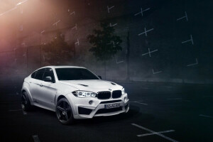 Шницер, BMW, машина, сокол, ночь, настройка, X6M