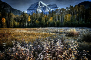 otoño, campo, paisaje, Montaña