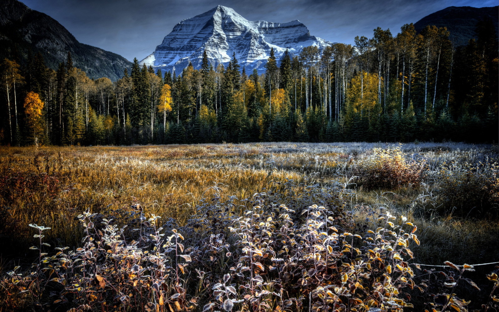 otoño, Montaña, paisaje, campo