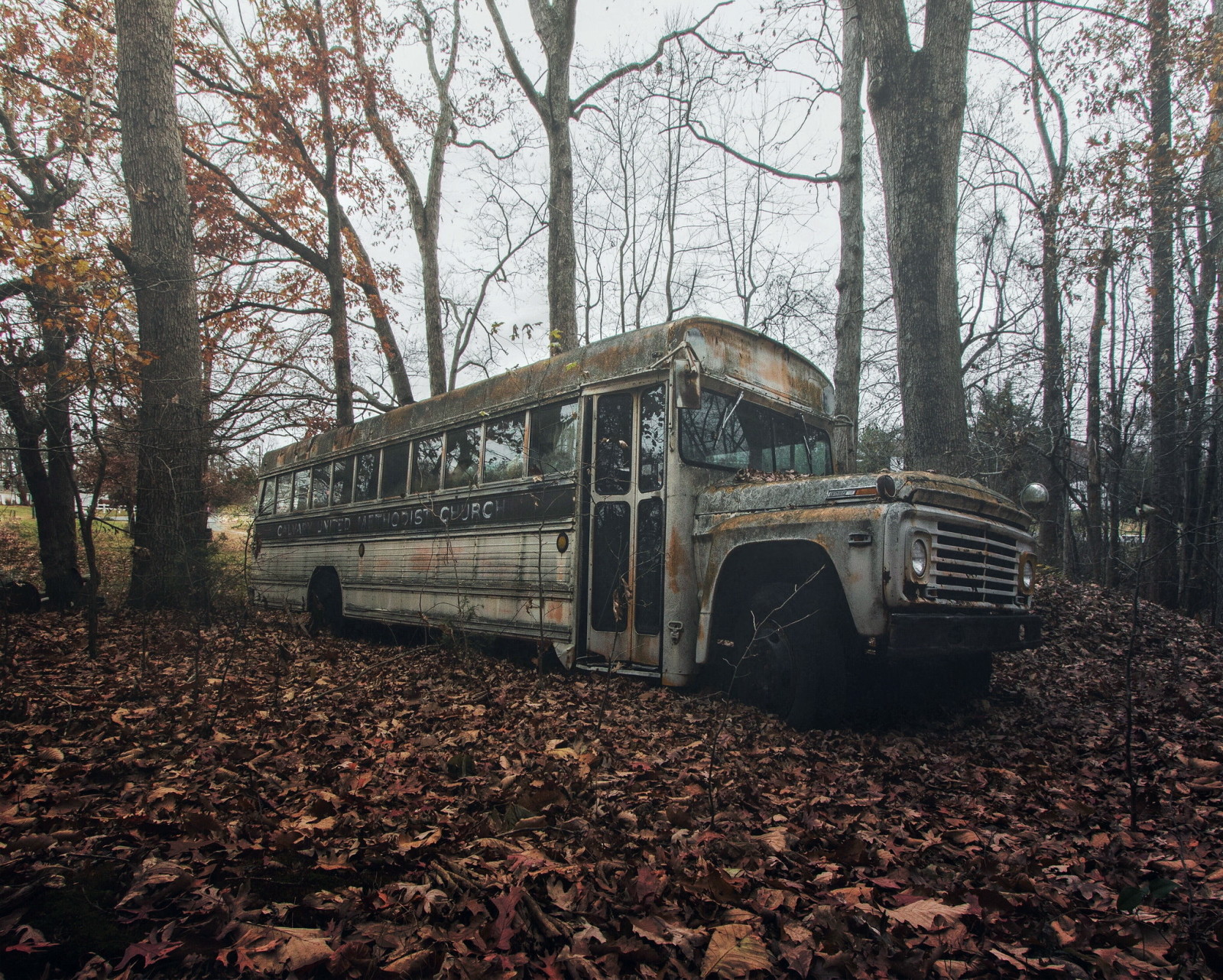 Herbst, Blätter, Bus