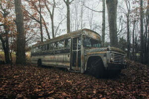 jesień, autobus, pozostawia