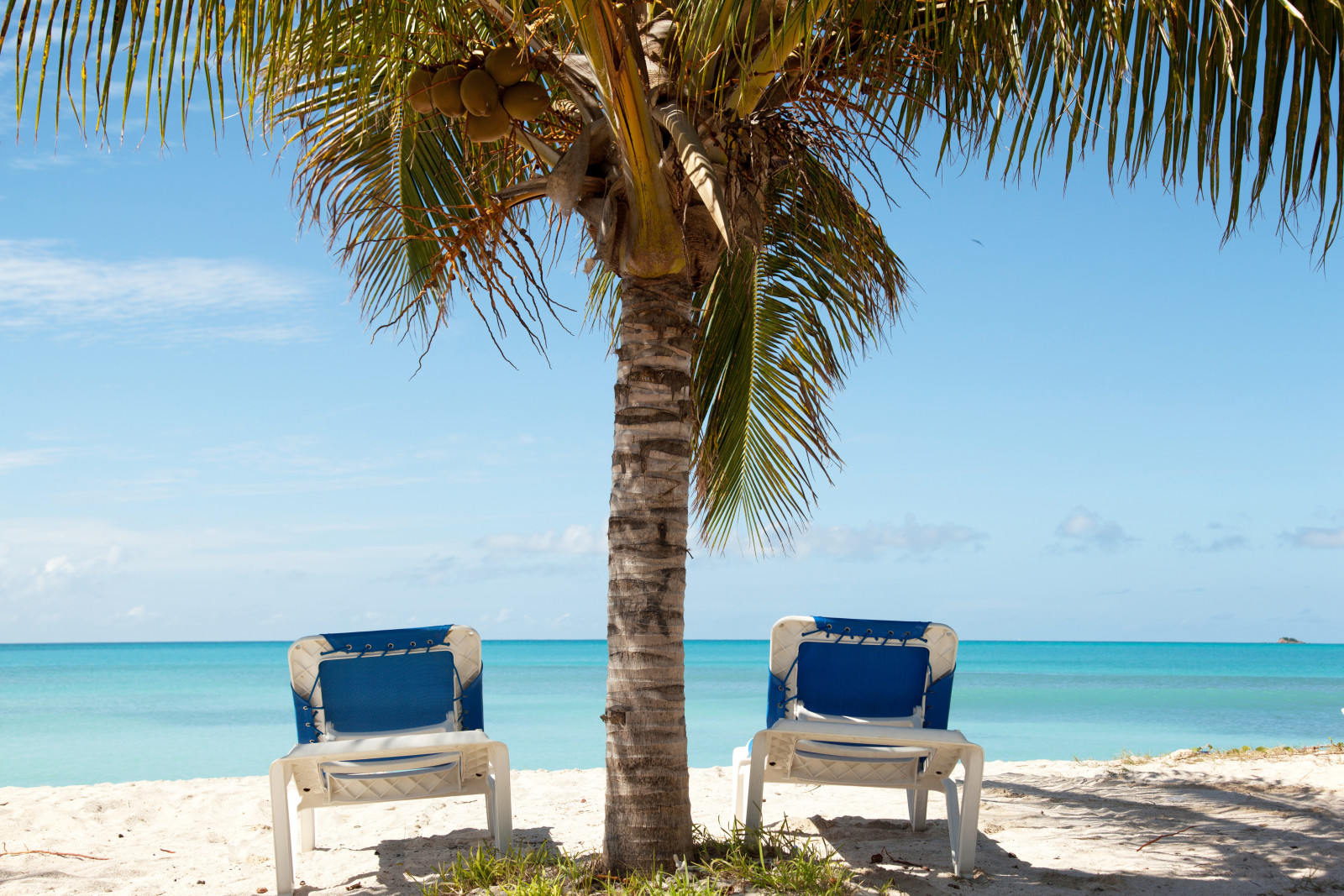 Sommer-, Strand, Meer, Sonne, Sand, bleibe, Palme, Ferien