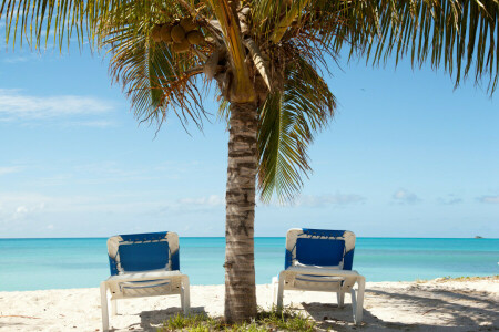 Strand, chaise, palm, Palma, sand, hav, oppholde seg, sommer