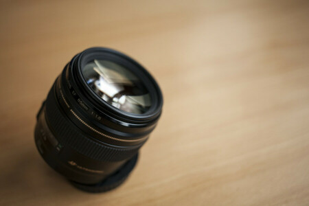 lens, mirror, reflection, table, tree