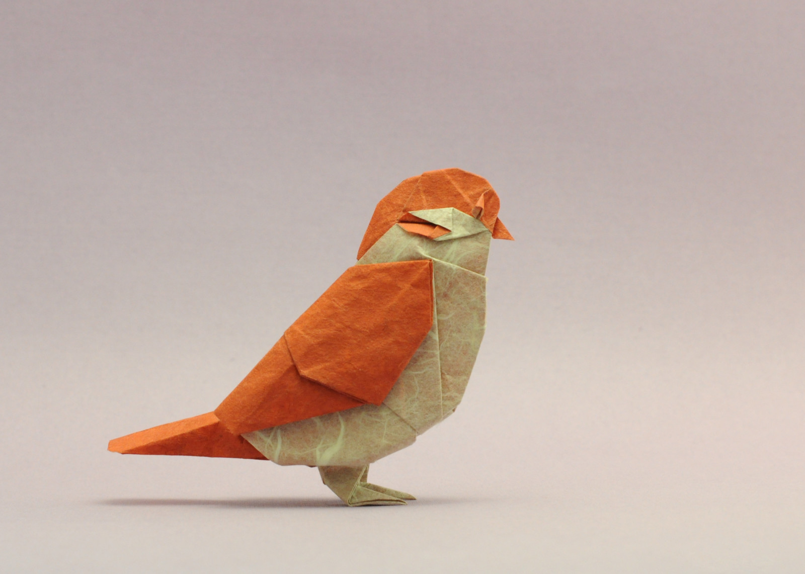 vogel, origami, Mus