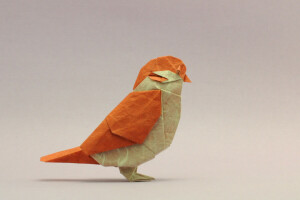 vogel, origami, Mus