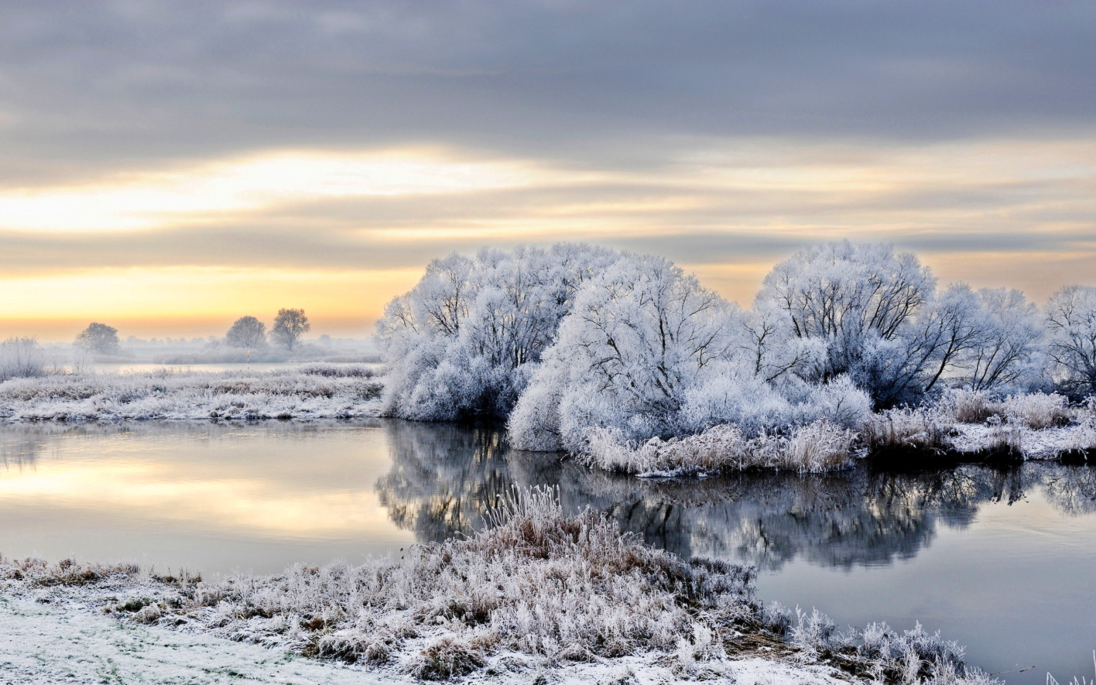 snow, river, winter, trees, frost, Germany