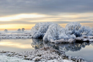 frost, Germany, river, snow, trees, winter