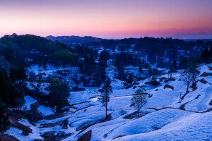 landschap, bergen, rivier-, sneeuw, stroom, de avond, bomen, vallei