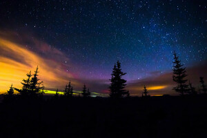 notte, spazio, stelle, la via Lattea, alberi