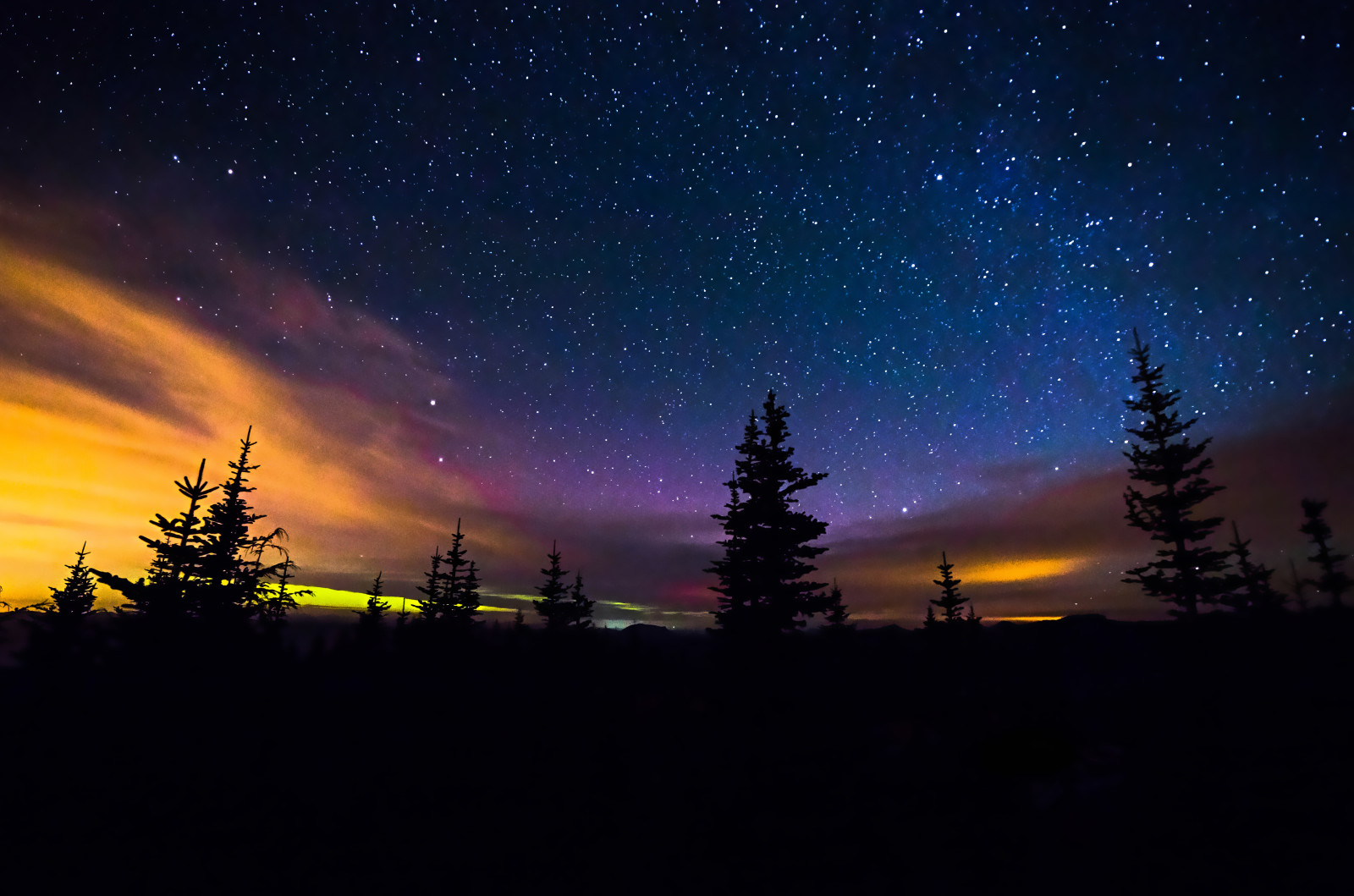 trees, night, space, stars, the milky way