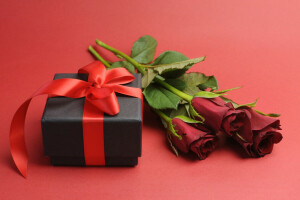 fleurs, cadeau, l'amour, rouge, romance, romantique, des roses