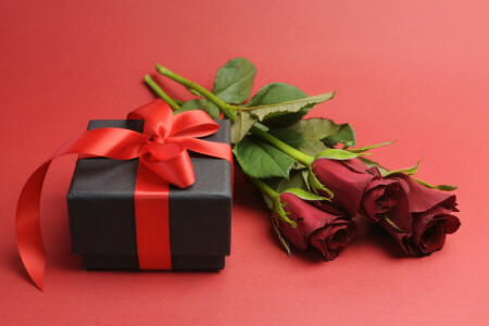 Blumen, Geschenk, Liebe, rot, Romantik, romantisch, Rosen