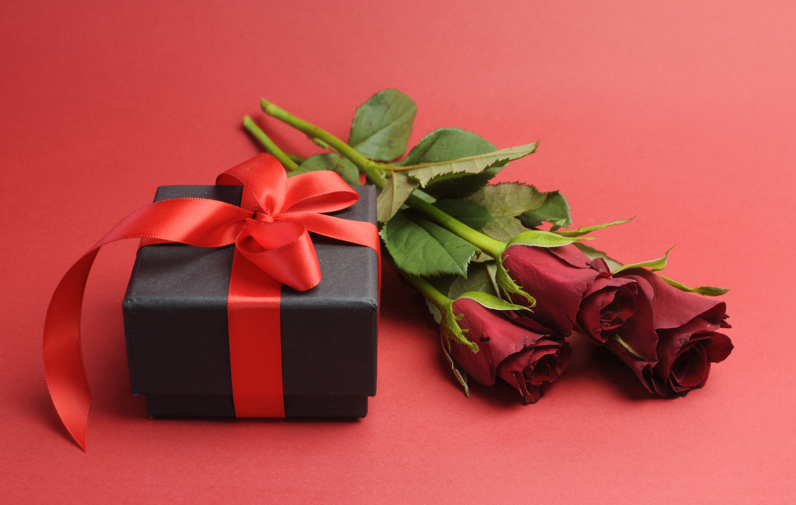 rood, liefde, romantisch, geschenk, rozen, bloemen, romance