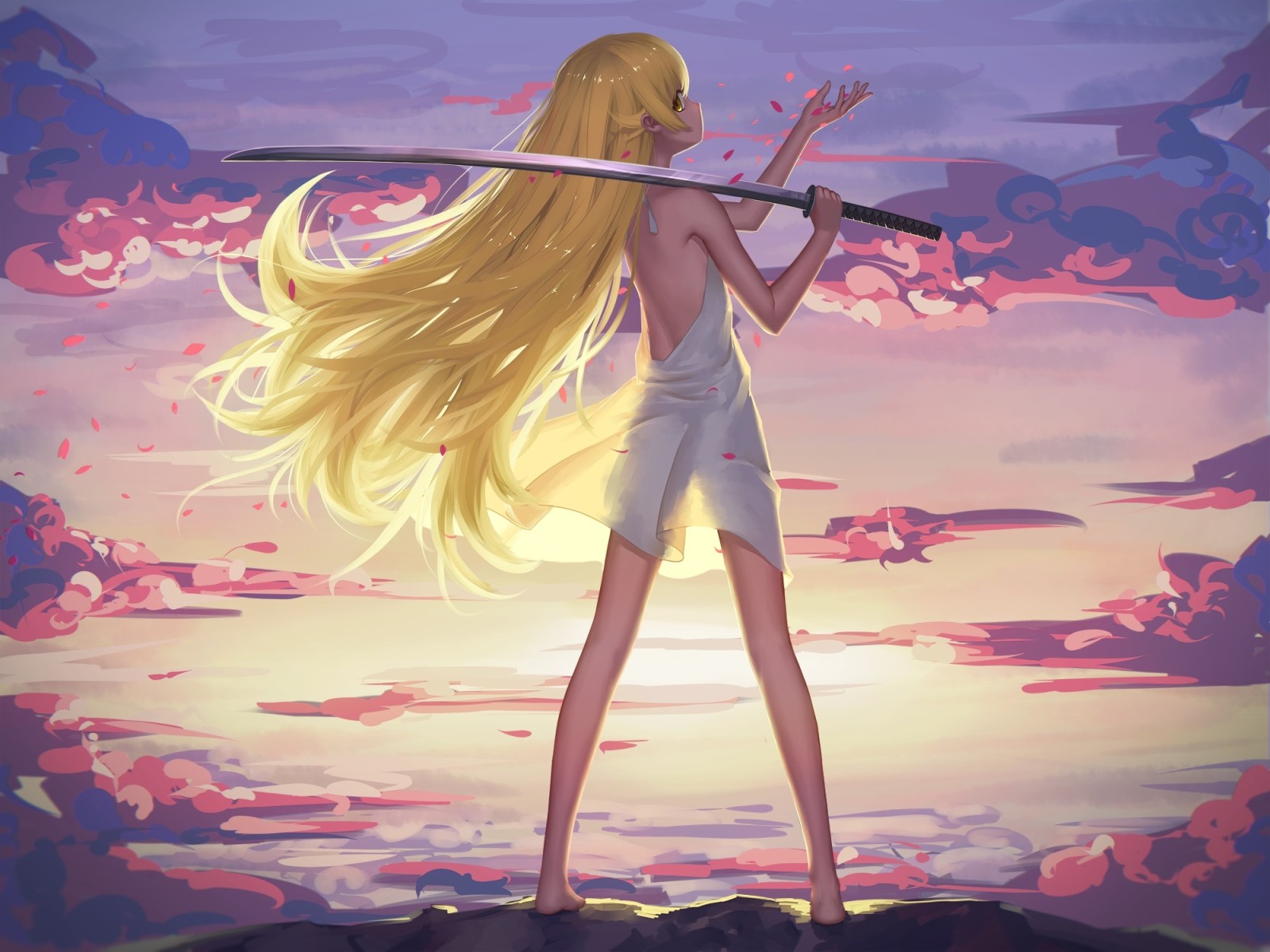 Le ciel, fille, le coucher du soleil, art, des nuages, armes, pétales, anime