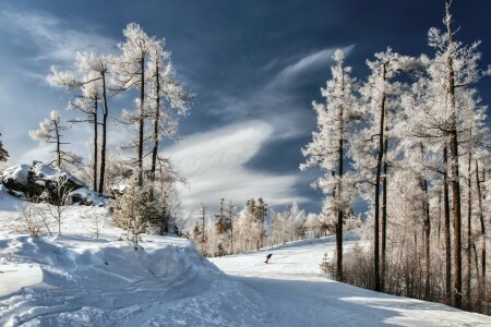 sneeuw, sport, winter