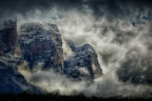 des nuages, brouillard, montagnes, rochers, des arbres